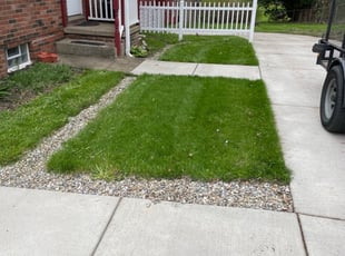 Liz E.'s Lawn Mowing Service service result