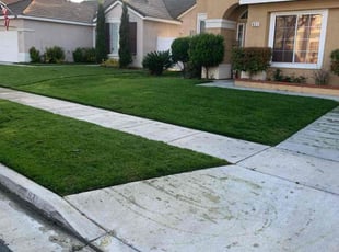 Mark A.'s Lawn Mowing service result