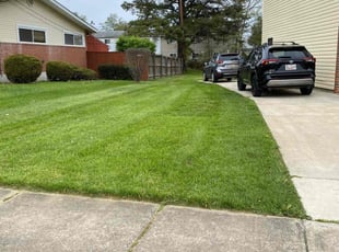 Lisa N.'s Lawn Service service result