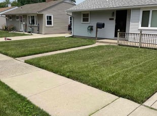 Susan C.'s Lawn Maintenance service result