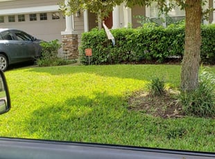 Marvin C.'s Yard Cutting service result