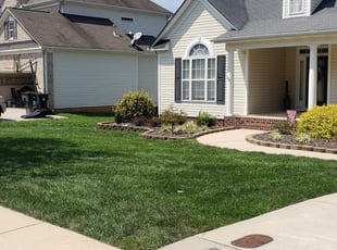 Randy D.'s Grass Cutting service result