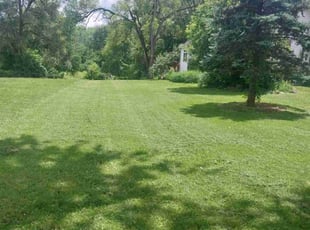 Victoria H.'s Lawn Service service result
