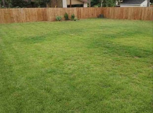 JD F.'s Lawn Mowing service result
