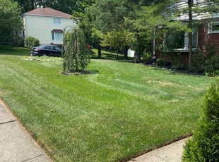 Susan H.'s Lawn Care service result