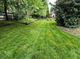 Izora A.'s Lawn Service service result