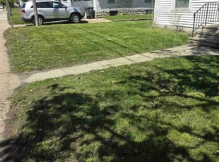 Anthony H.'s Lawn Care service result