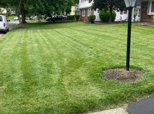 Karen B.'s Lawn Mowing service result