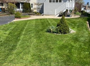 Jason C.'s Lawn Mowing Service service result