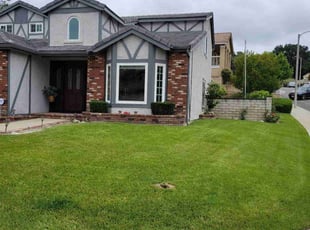 Vernon H.'s Lawn Mowing service result