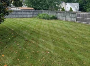 Laura B.'s Lawn Mowing Service service result