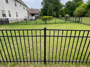 Dimitra M.'s Lawn Service service result