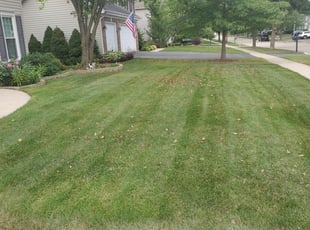 Joe D.'s Grass Cutting service result