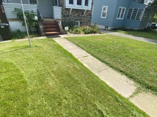 Delores G.'s Lawn Care service result