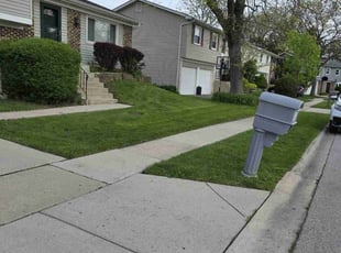 Priscilla S.'s Grass Cutting service result