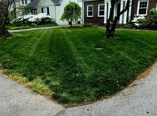 Brian Joseph M.'s Lawn Service service result