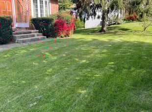 Titanica P.'s Lawn Service service result