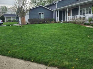 Bianca S.'s Lawn Maintenance service result