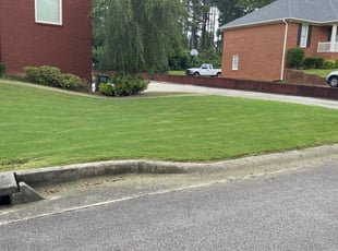 Mark M.'s Lawn Care service result