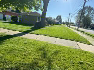 Cindy Q.'s Lawn Maintenance service result