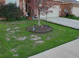 Natalie G.'s Lawn Mowing Service service result