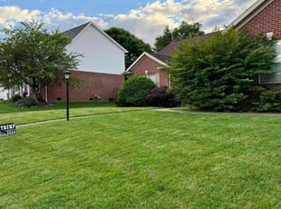 Thomas D.'s Lawn Maintenance service result