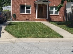 Joseph Z.'s Lawn Service service result