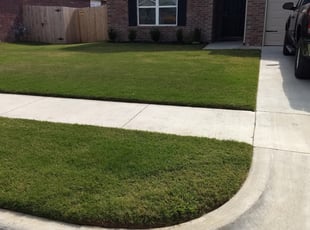 RaNisha S.'s Lawn Mowing service result