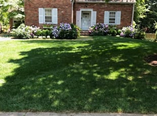 Stuart D.'s Yard Cutting service result