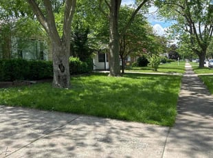hua z.'s Lawn Maintenance service result