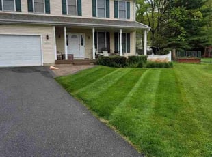 Michael G.'s Lawn Service service result