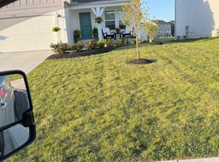 Ronald L.'s Lawn Mowing service result