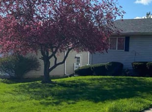 Steven N.'s Lawn Care service result