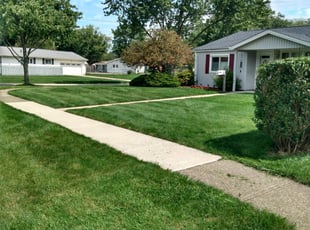 Reginold C.'s Lawn Service service result
