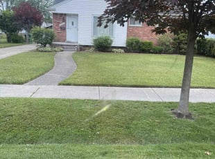 Rowell G.'s Yard Cutting service result
