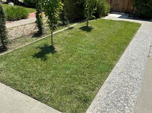 Erin r.'s Lawn Mowing service result