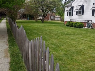 Thoa K.'s Lawn Care service result