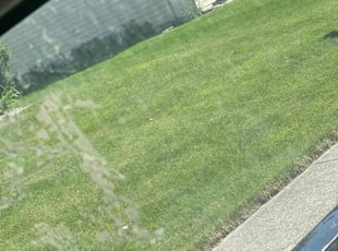 Sharon D.'s Lawn Mowing service result