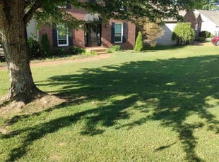 Laura R.'s Lawn Mowing service result