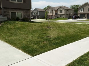 Nancy M.'s Lawn Service service result