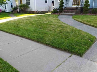 Valerie R.'s Lawn Service service result