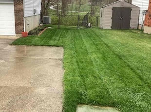 Daniel V.'s Grass Cutting service result