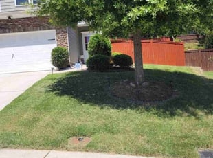 Larry L.'s Lawn Maintenance service result