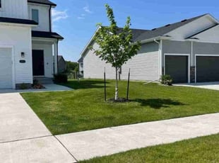 Michael b.'s Lawn Care service result