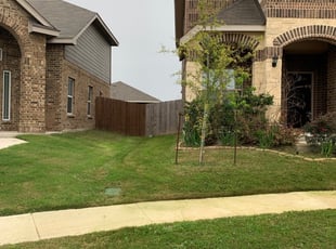 Lettie C.'s Lawn Maintenance service result