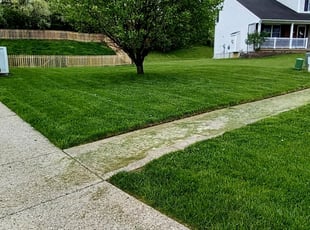 Saarah A.'s Lawn Care service result