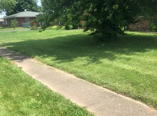 Ryan J.'s Lawn Care service result