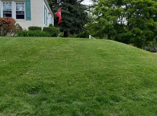 Andrea B.'s Lawn Mowing Service service result