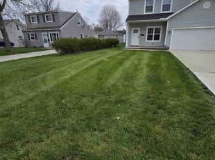 Brenda S.'s Lawn Care service result