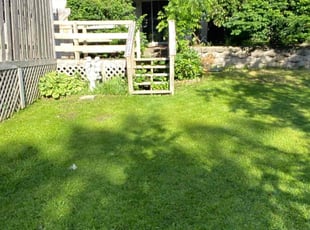 Ana R.'s Lawn Service service result